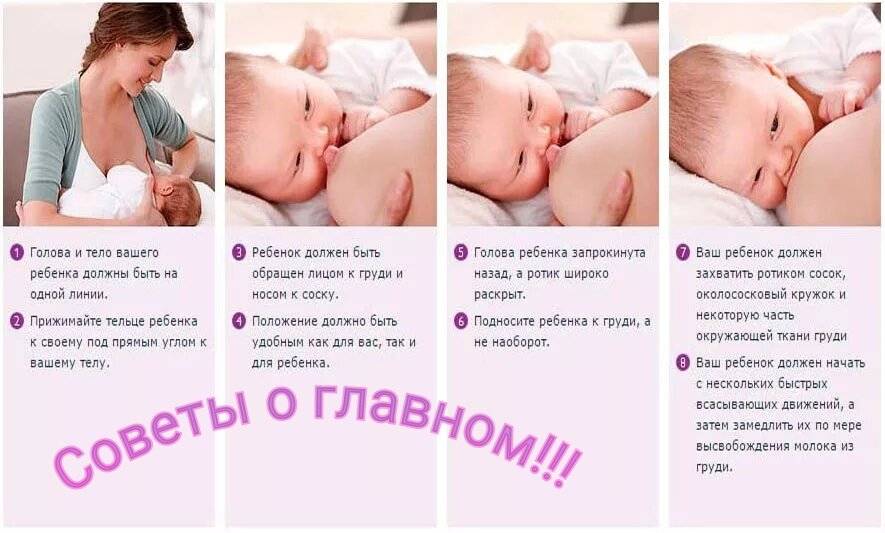 Правильное прикладывание новорожденного ребенка при грудном вскармливании