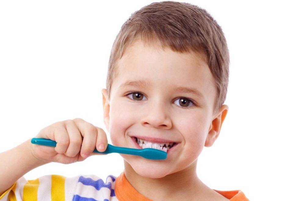 Люблю чистить зубы. Гигиена полости рта для детей дошкольного возраста. Профилактика кариеса у детей. Про зубы для детей дошкольного возраста.