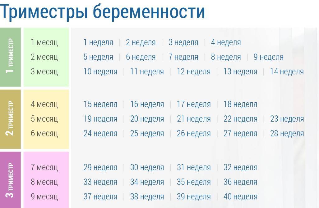 Новые статьи: Календарь беременности