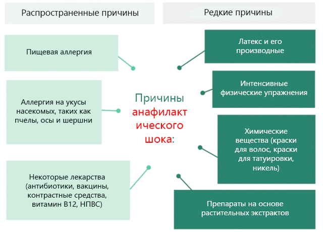 Основные причины анафилактического шока. Причины развития анафилактического (аллергического) шока. Наиболее частые причины возникновения анафилактического шока. Причинами развития анафилактического шока является.