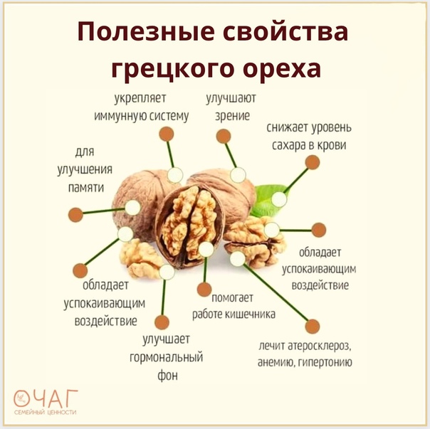 Грецкие орехи при грудном вскармливании: можно ли маме новорожденного в первый месяц гв, когда и как вводить в свое и детское меню, а также мнение комаровского