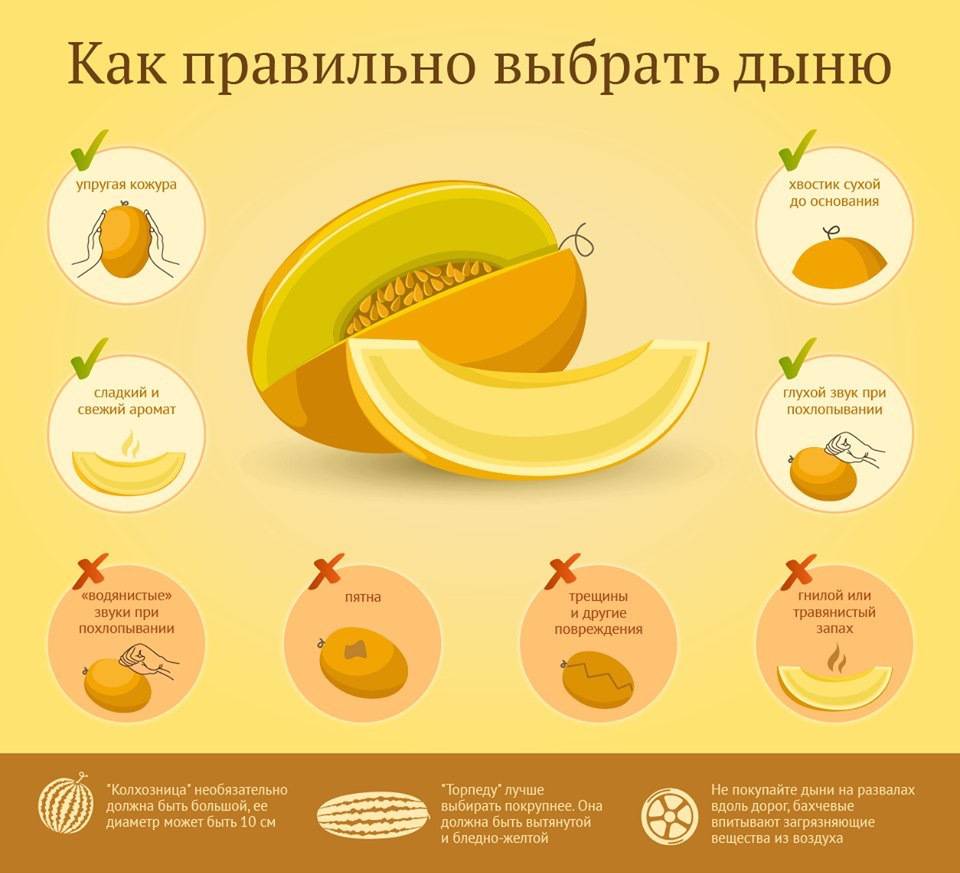 Какие фрукты можно и нельзя употреблять во время беременности? • центр гинекологии в санкт-петербурге