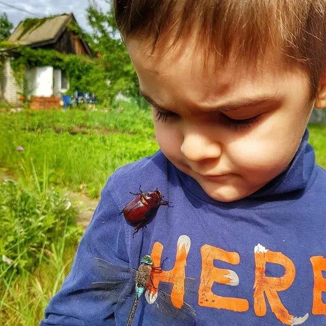 Ребенок боится насекомых: как исправить ситуацию?