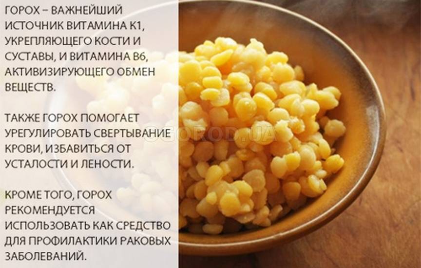Супы для кормящих мам: можно ли при грудном вскармливании гороховый, грибной, щавелевый, рассольник и другие, рецепты