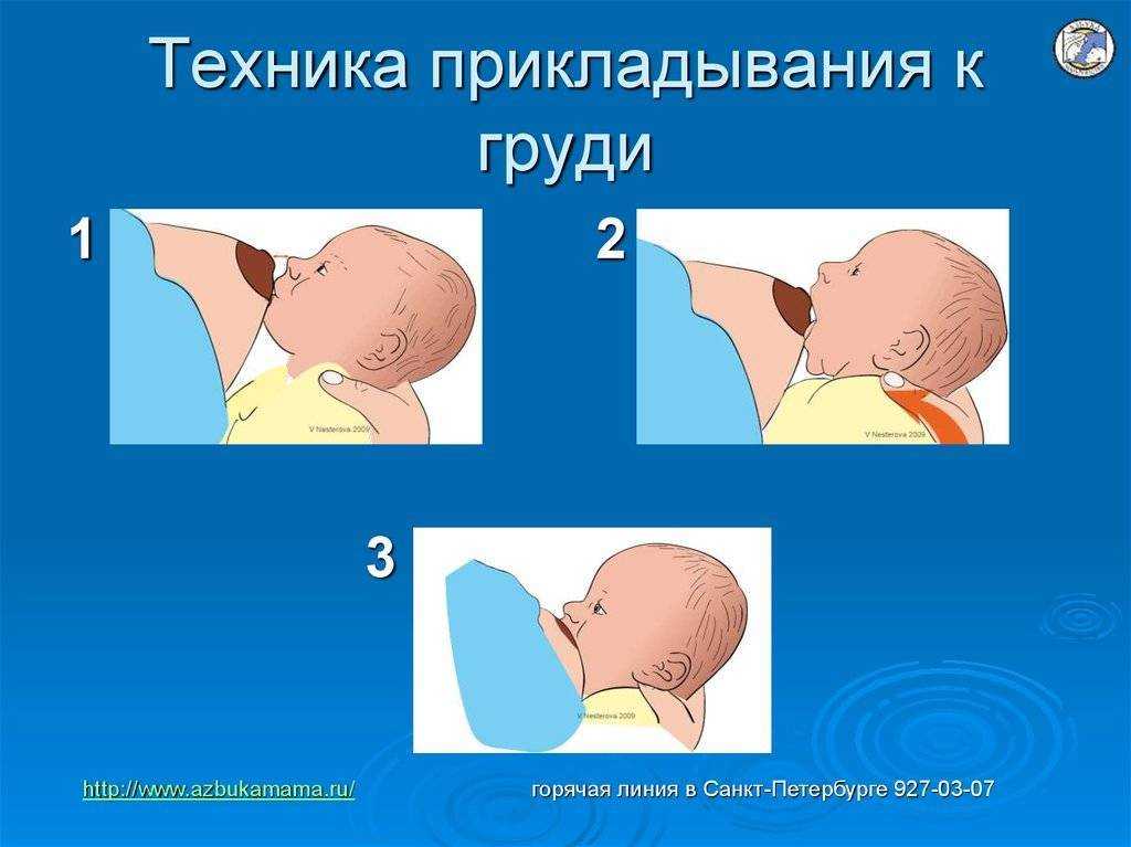 Как правильно кормить новорожденного. Правильное прикладывание к груди. Правильное прикладывание ребенка к груди. Правильный захват груди. Как правильно прикладывать к груди.