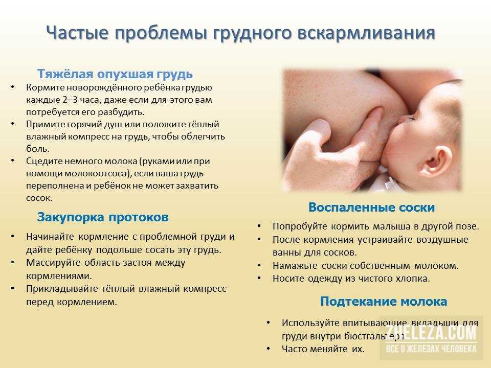 Подготовка груди к кормлению