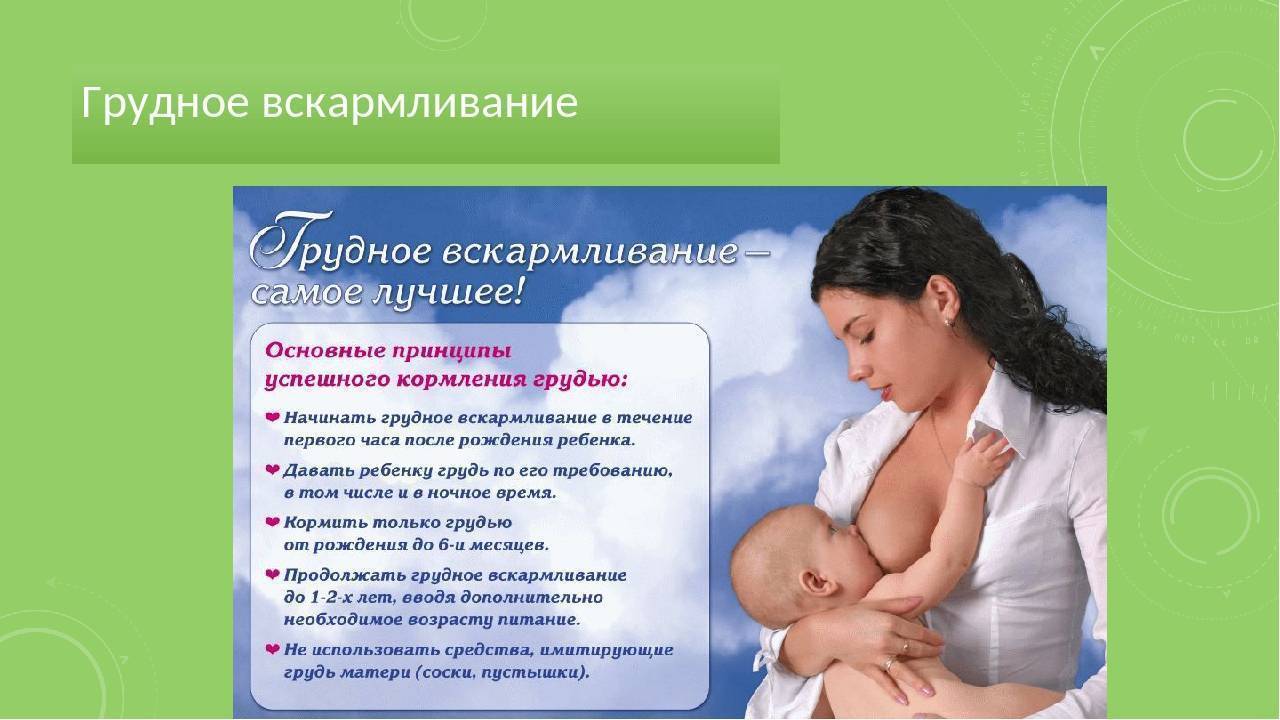 Возможна ли беременности после родов при грудном вскармливании без месячных. признаки беременности при грудном вскармливании. прерывание беременности при грудном вскармливании — беременность. беременность по неделям.
