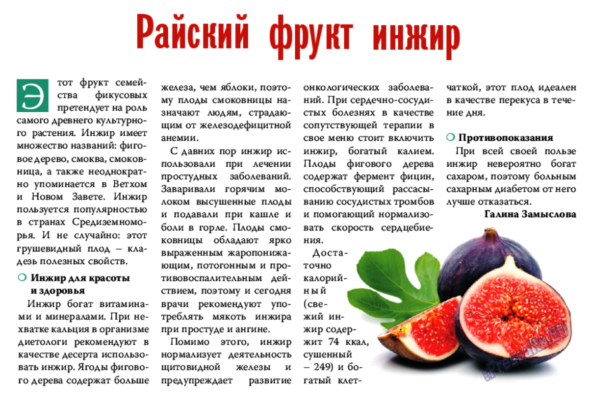 С какого возраста можно давать инжир детям? возрастные ограничения использования в питании.