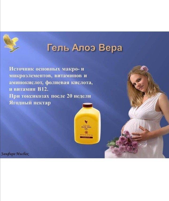 Алоэ от насморка: можно ли капать в нос и как это делать, помогает ли при гайморите, от заложенности, разрешено ли при беременности, обзор отзывов