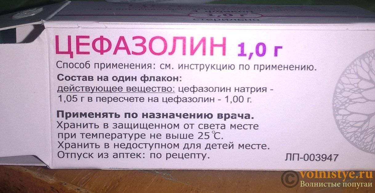 Цефазолин детям: инструкция по применению, дозировка, как разводить, аналоги