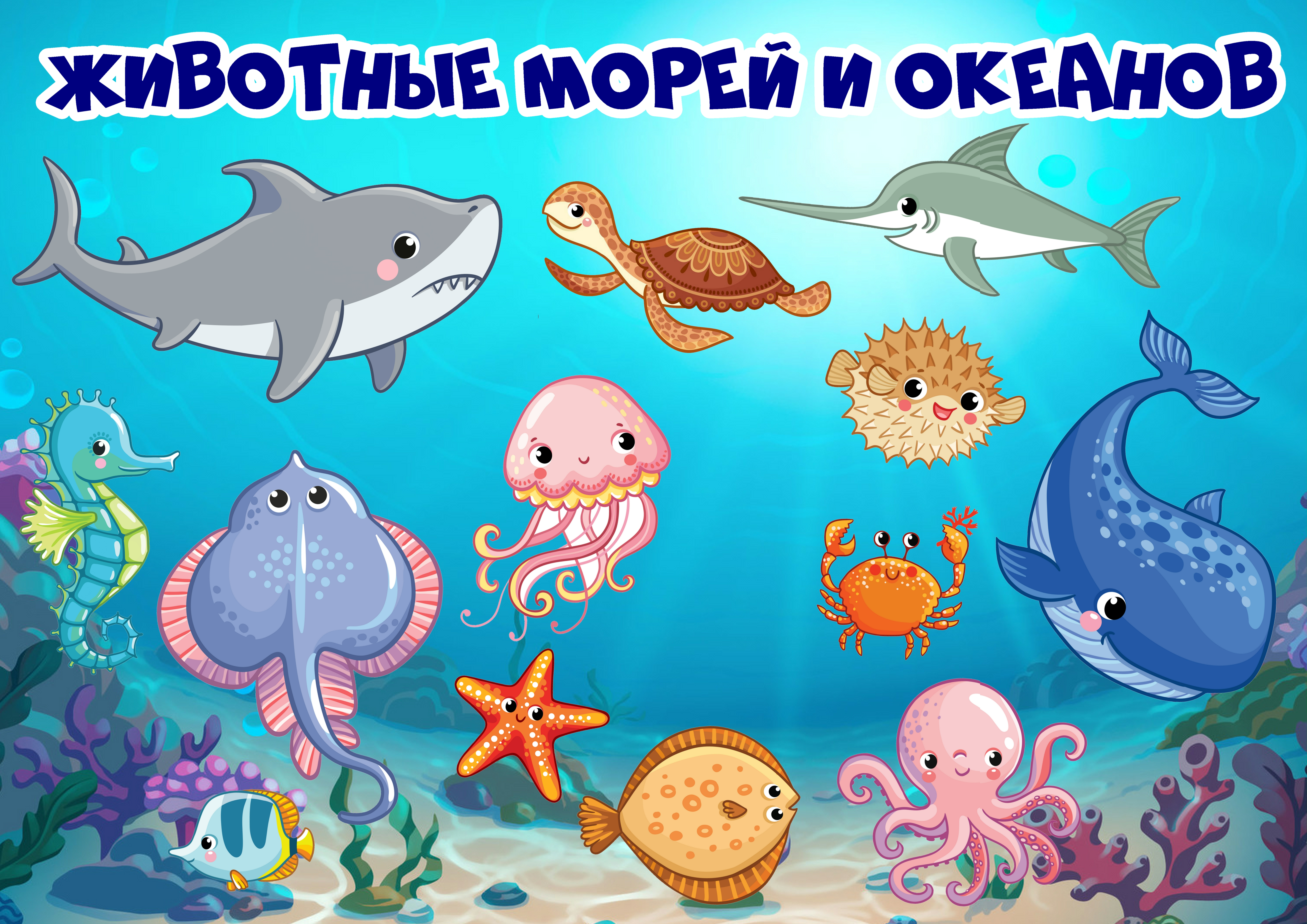 Морские обитатели (развивающий мультик). Карточки Домана
