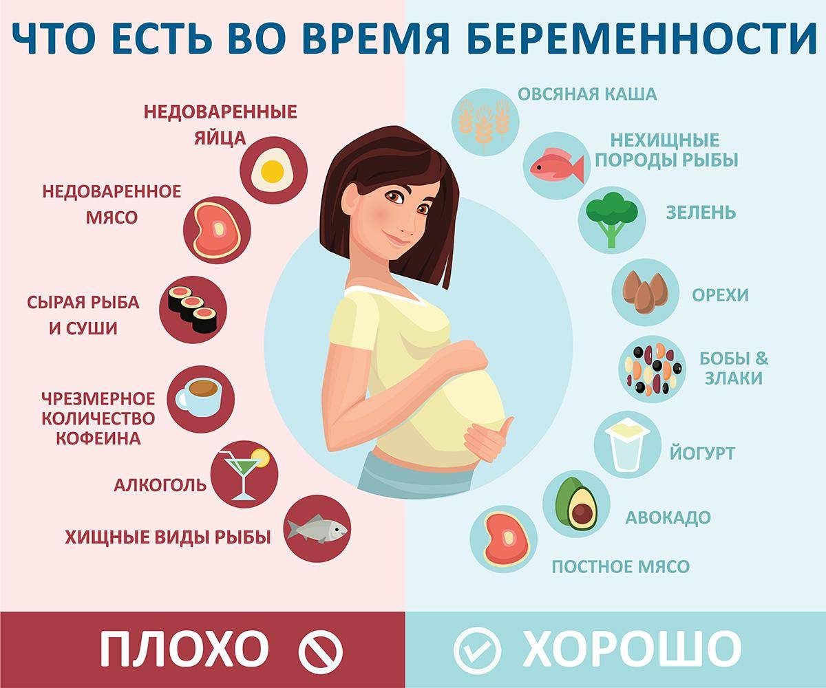 Что запрещено есть при беременности и почему | аборт в спб