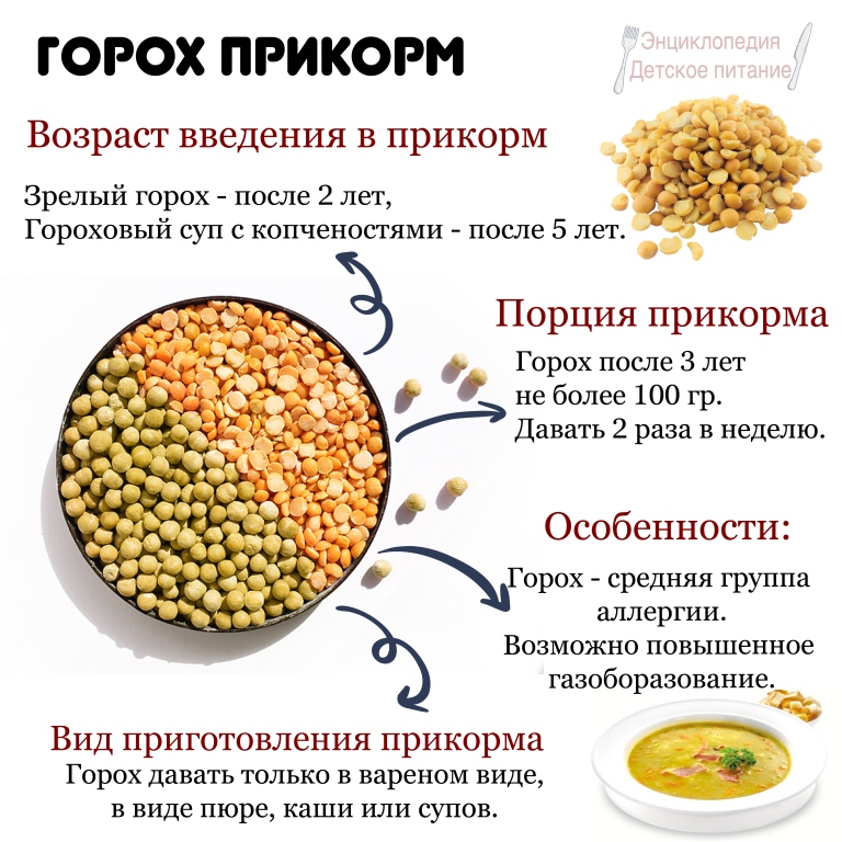 С какого возраста можно ребенку чечевицу | уроки для мам