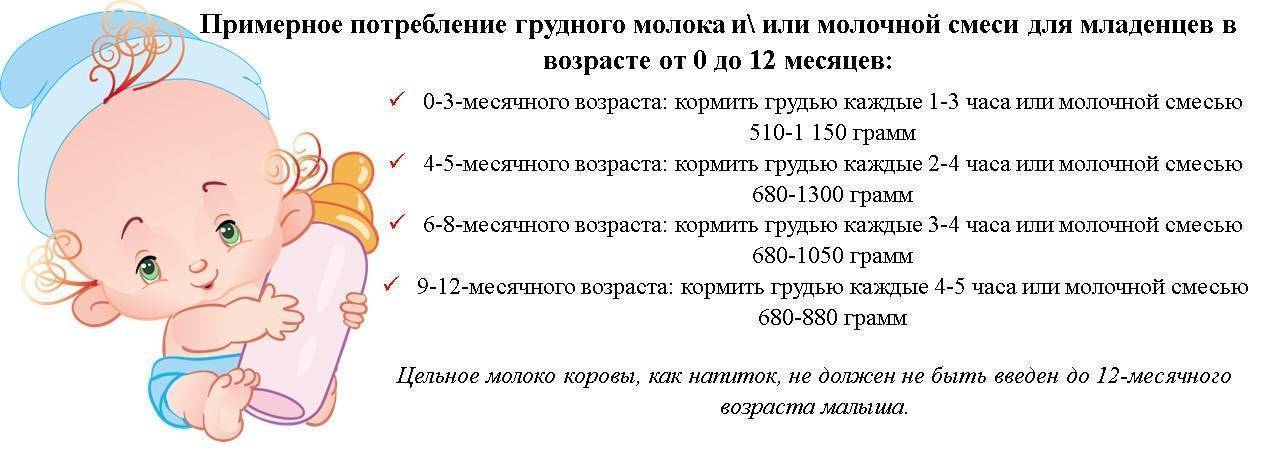 До какого возраста кормить ребенка грудным молоком: сколько по времени занимает кормление, через сколько часов нужно прикладывать к груди