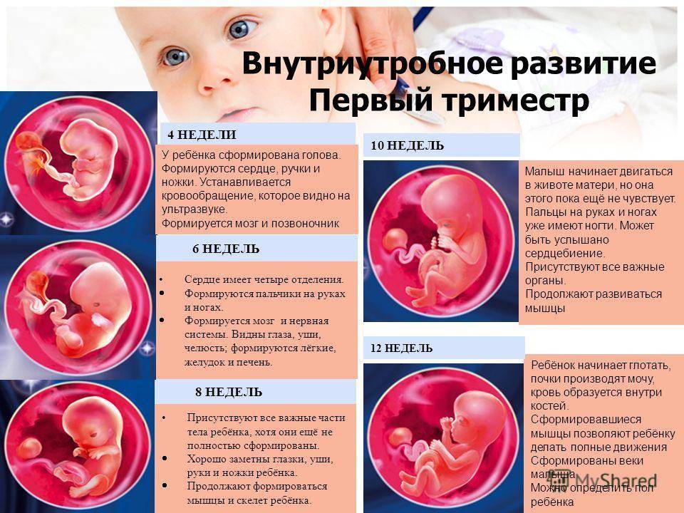 23 неделя беременности — что происходит в животе