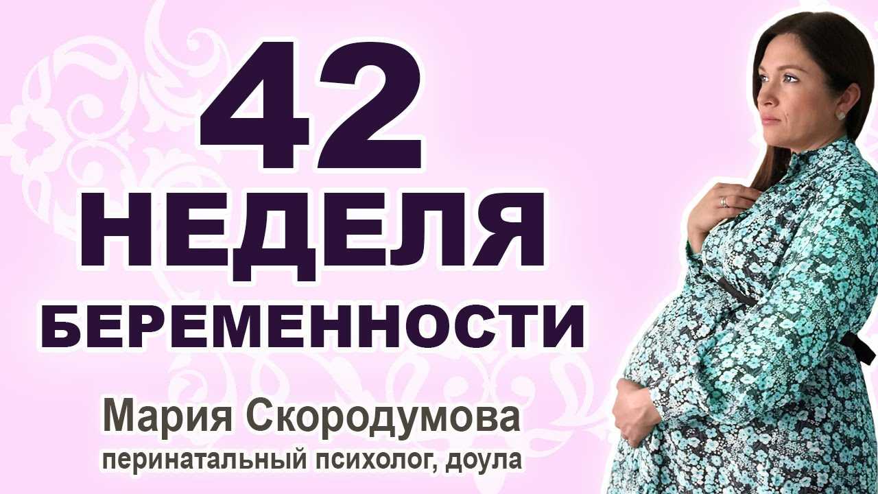 42 неделя беременности (видео, фото): что делать если признаков и схваток нет, а роды не начинаются.