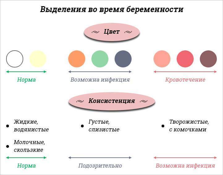 Выделения во втором триместре - счастливая беременность - страна мам