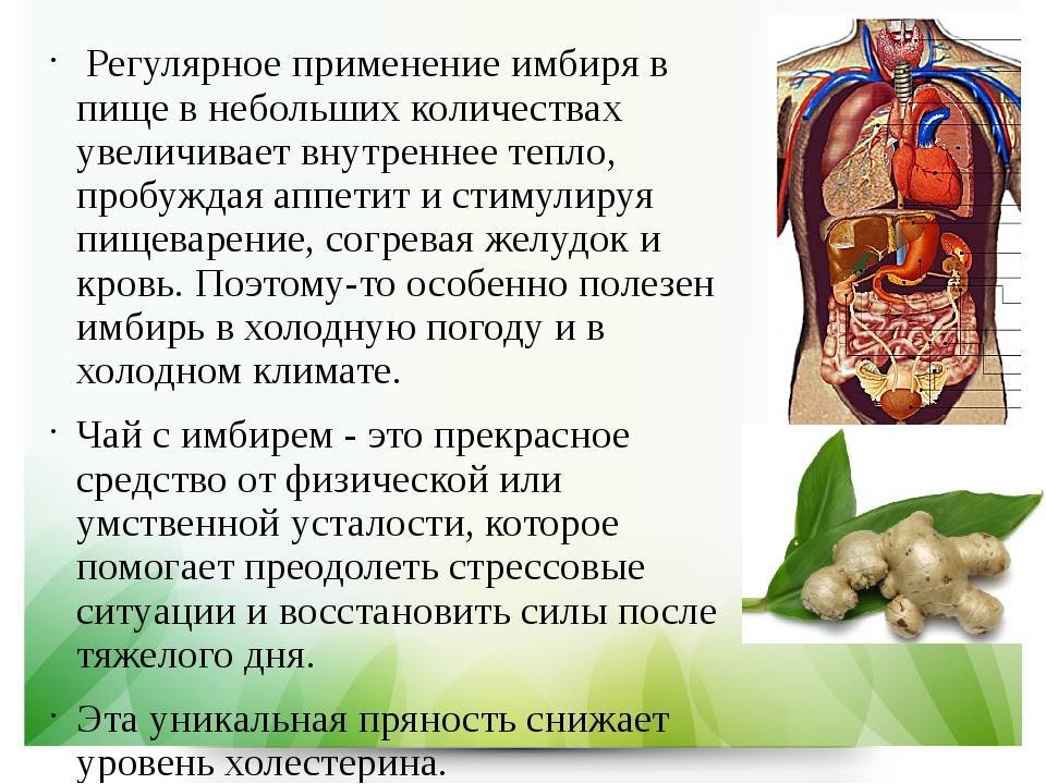 Можно ли имбирь при беременности?