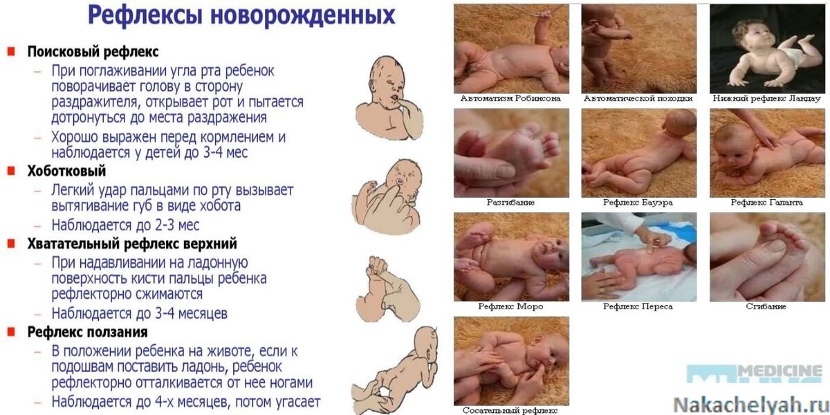 Рефлексы новорожденного | уроки для мам