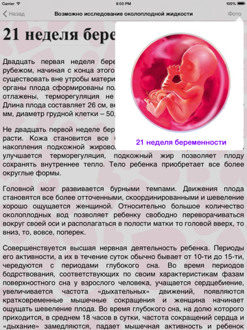 Во сколько недель начинает шевелиться плод при первой беременности, на каком сроке это происходит при второй гестации?
