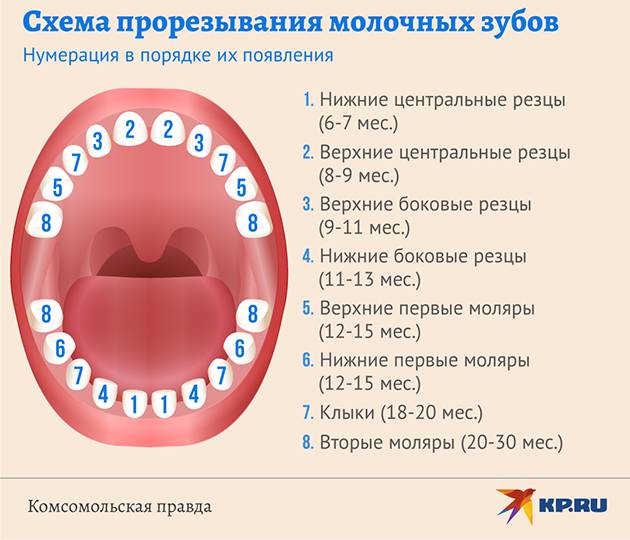 Температура при прорезывании