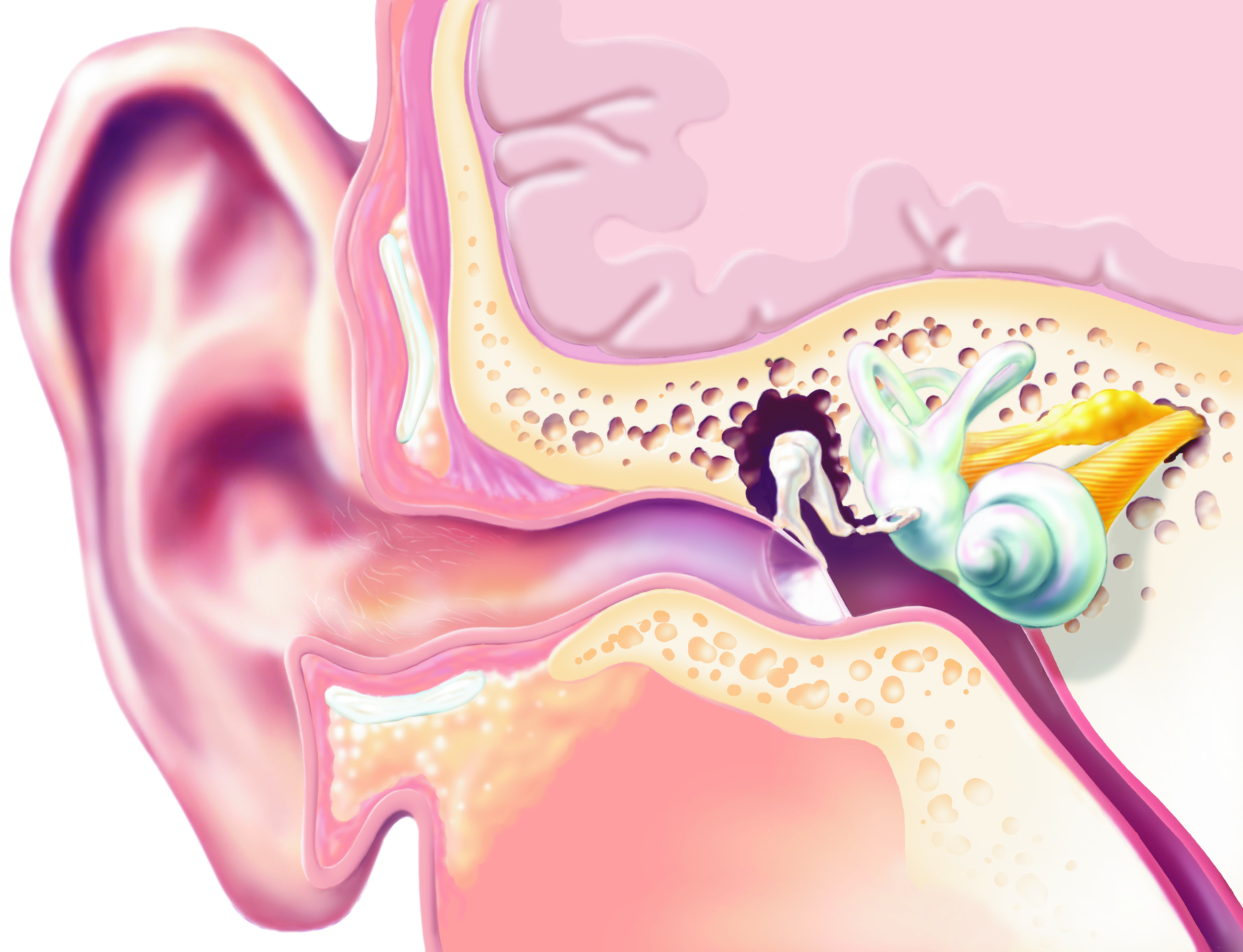 Как понять, что у грудничка болит ухо? как понять по симптомам, что у грудничка болит ухо.