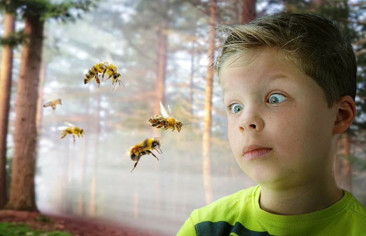 Энтомофобия. что делать, если ребенок боится насекомых?