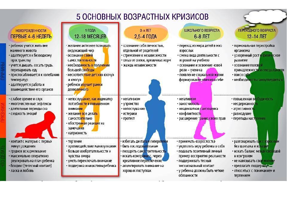 Особенности развития малыша в 17-месячном возрасте