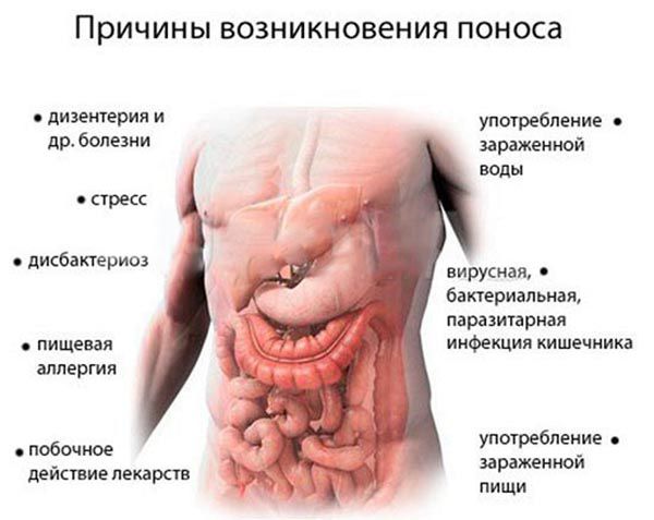 Понос у грудничка, что делать, причины, когда необходима помощь врача