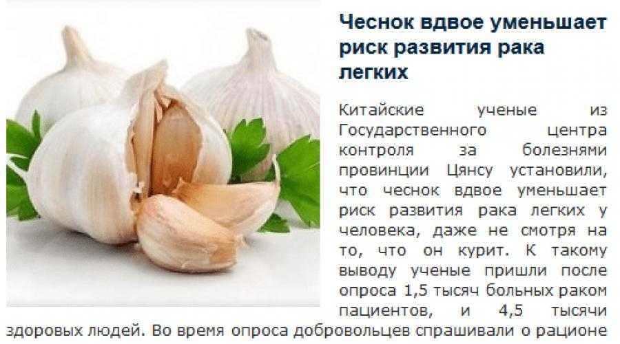 [разрешено] чеснок при грудном вскармливании: можно ли кормящей маме | ripa-russia.ru