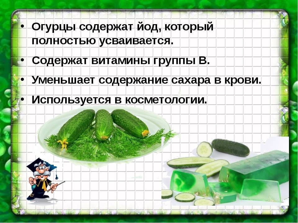 Кому нельзя есть огурцы. многие об этом не догадываются