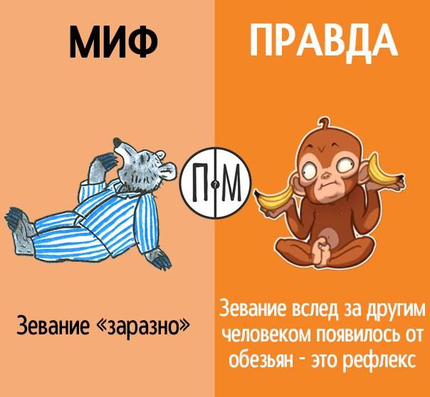 Правила выбора хорошего зимнего комбинезона для маленького ребенка до года и старше. комбинезон для ребенка 6 месяцев