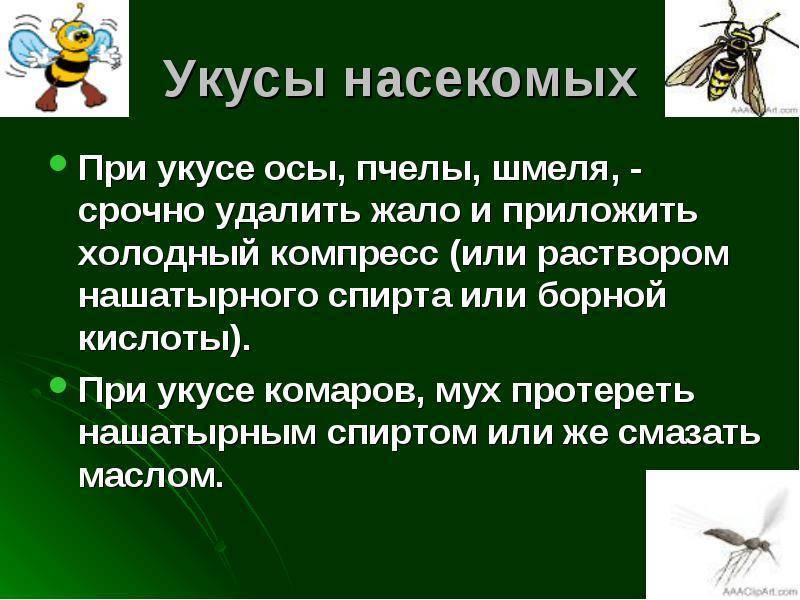 Ребенка укусила пчела или оса – dez service