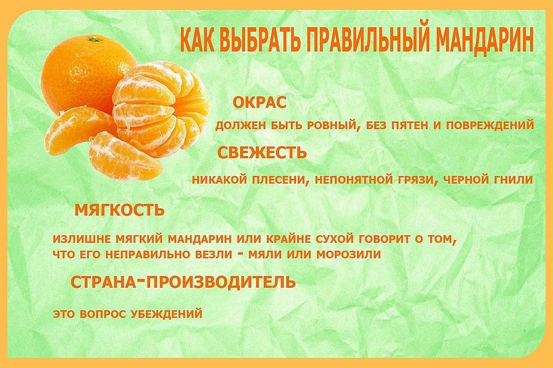 Цитрусовые детям с какого возраста. когда ребенку можно давать мандарины? со скольки месяцев можно вводить фрукт в рацион
