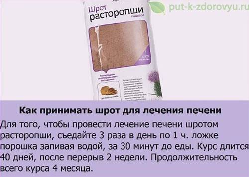 Польза и вред расторопши, лечебные свойства, как принимать, отзывы | zaslonovgrad.ru