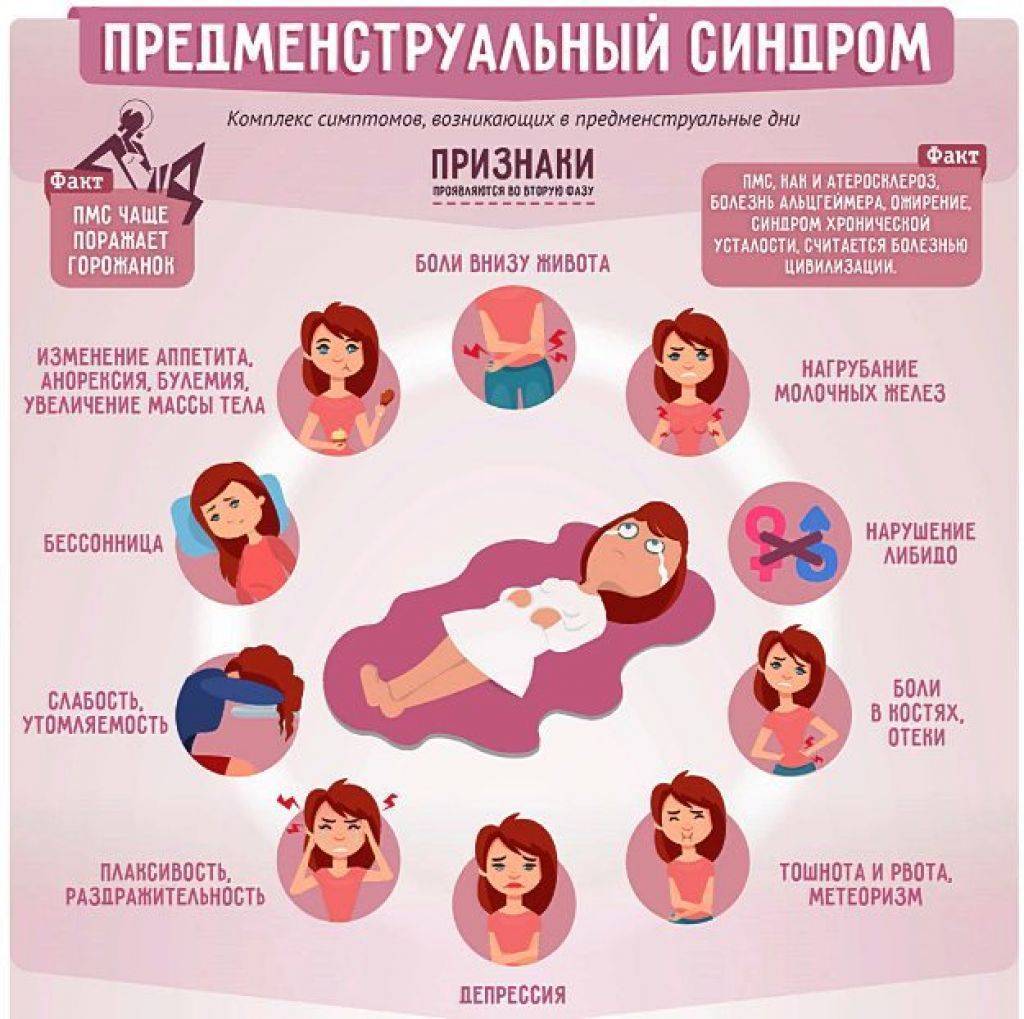 грудь беременность разница беременность или пмс фото 1
