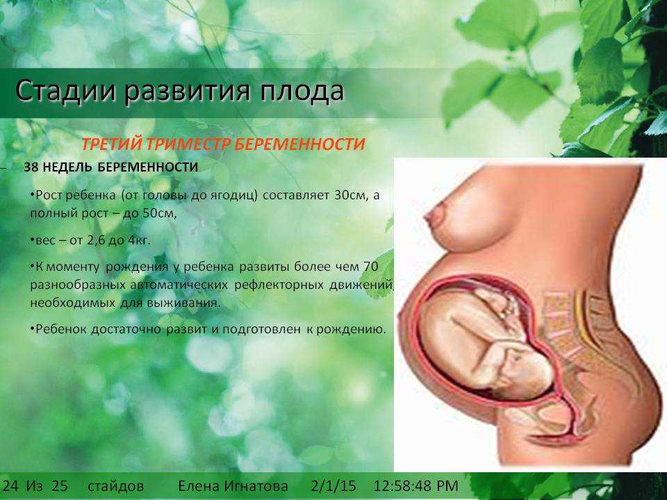 Все самое важное о третьем триместре беременности | legkomed.ru