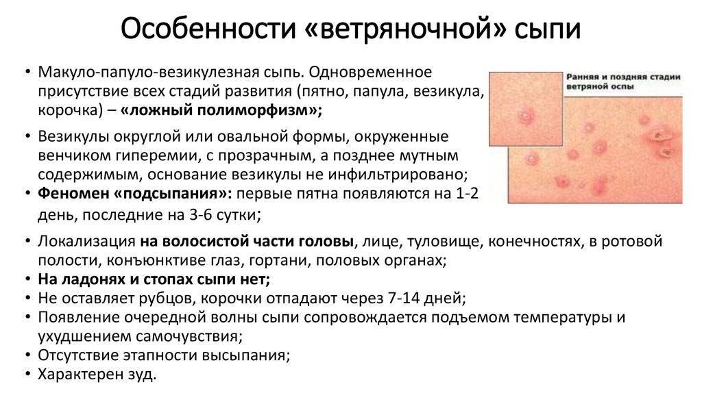 Сухая кожа, красные пятна и другие кожные заболевания у грудничка | terra-baby.ru