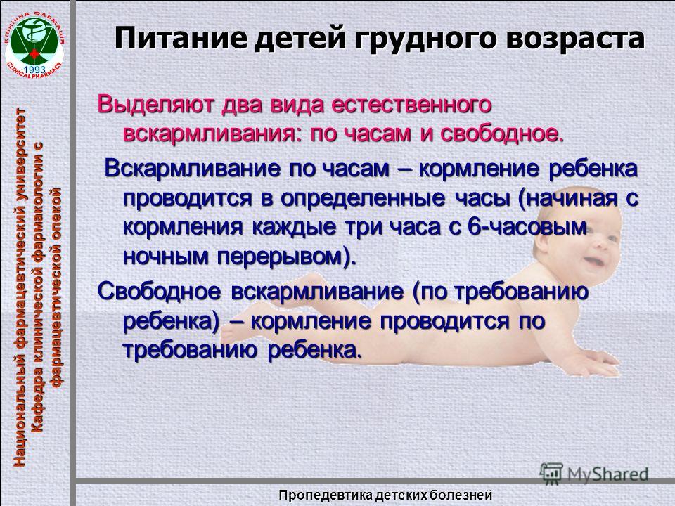 Чем отличается кормление по режиму и кормление по требованию?   | материнство - беременность, роды, питание, воспитание