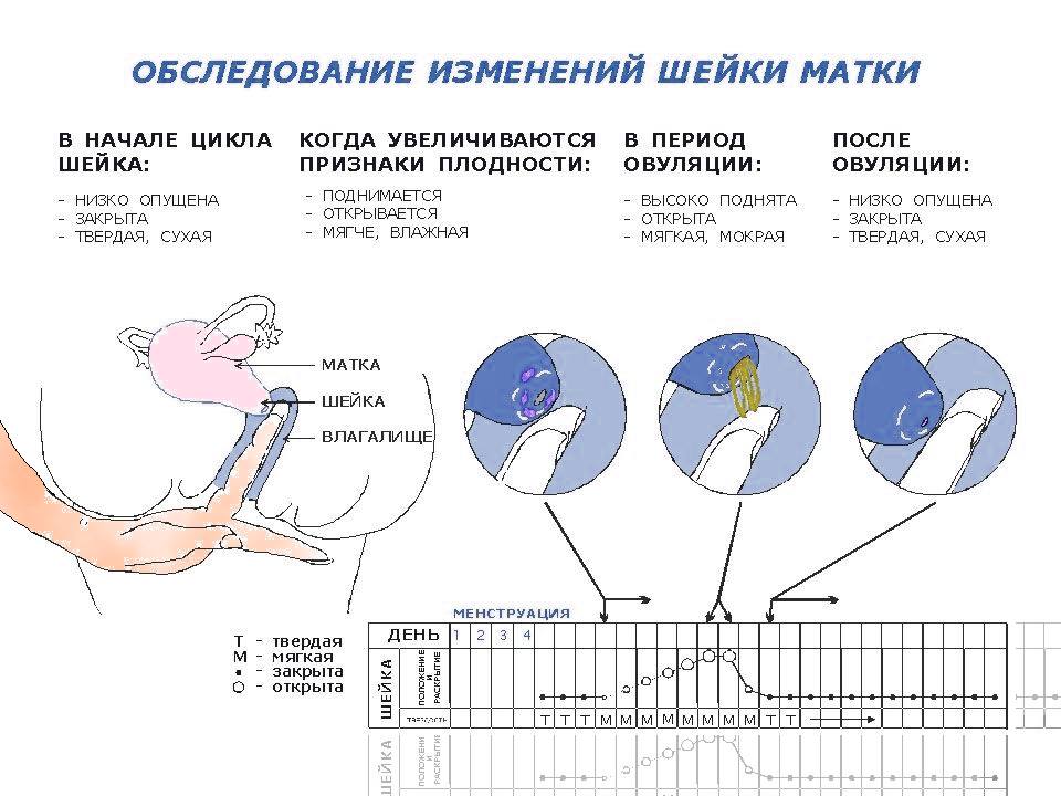 Можно ли забеременеть сразу после родов?