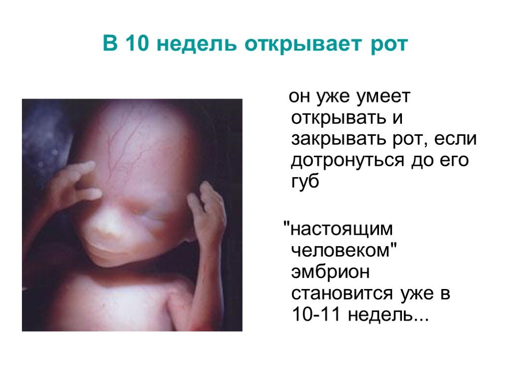 Десятая неделя беременности