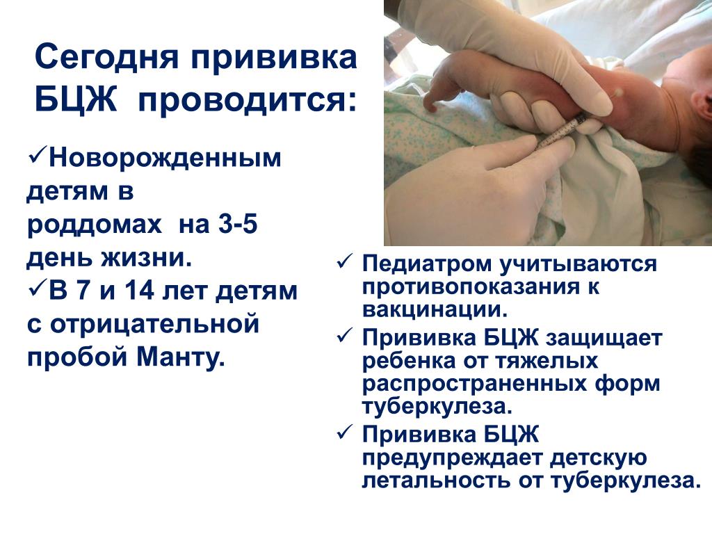 Вакцинация детей до года календарь прививок противопоказания