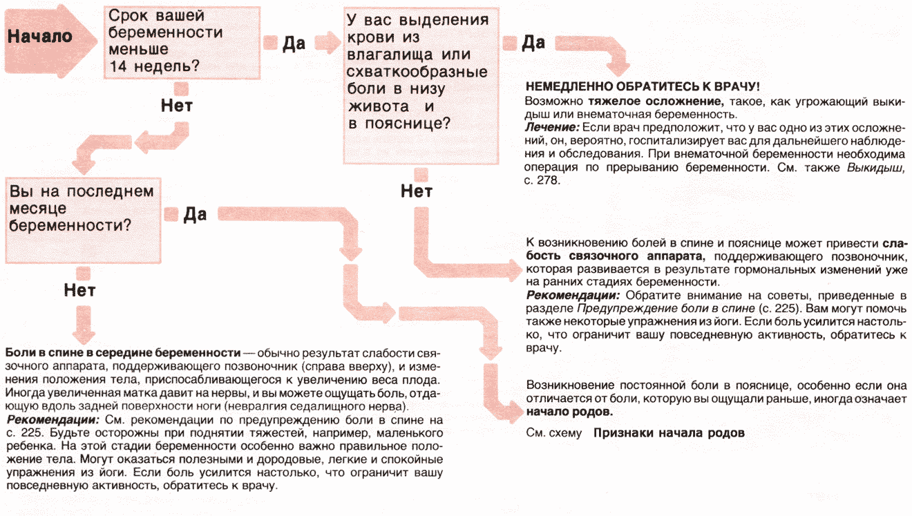 Тянет живот в начале беременности: как распознать угрозу?