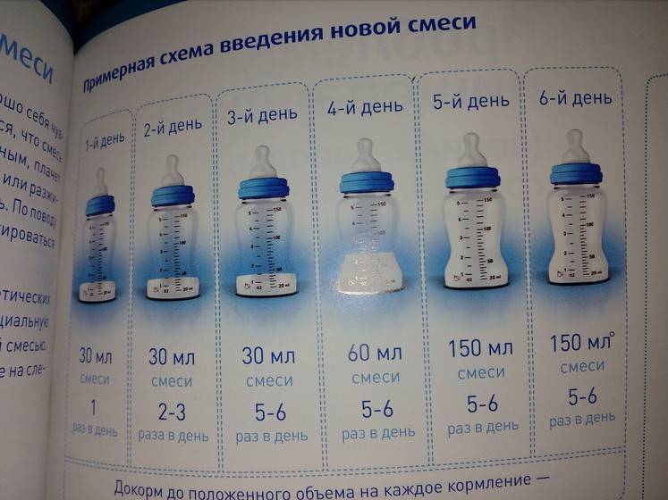 Смешанное вскармливание: его особенности и организация