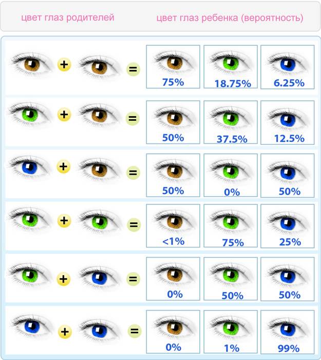 Когда меняется цвет глаз у новорожденных + таблица изменений | afgsm.ru