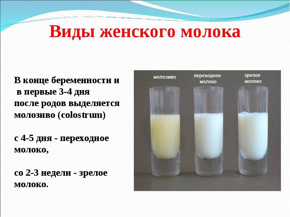 Грудное вскармливание после года: за и против