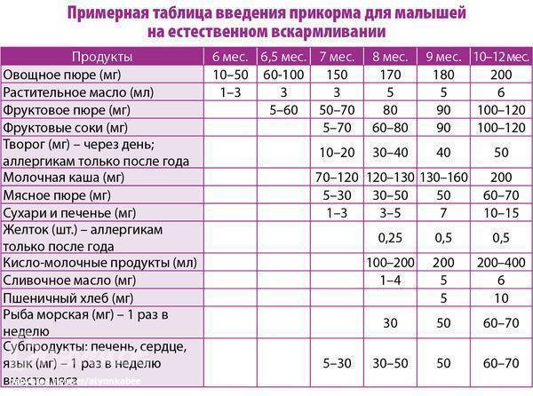 С какого возраста можно добавлять говяжий язык в рацион ребенка?