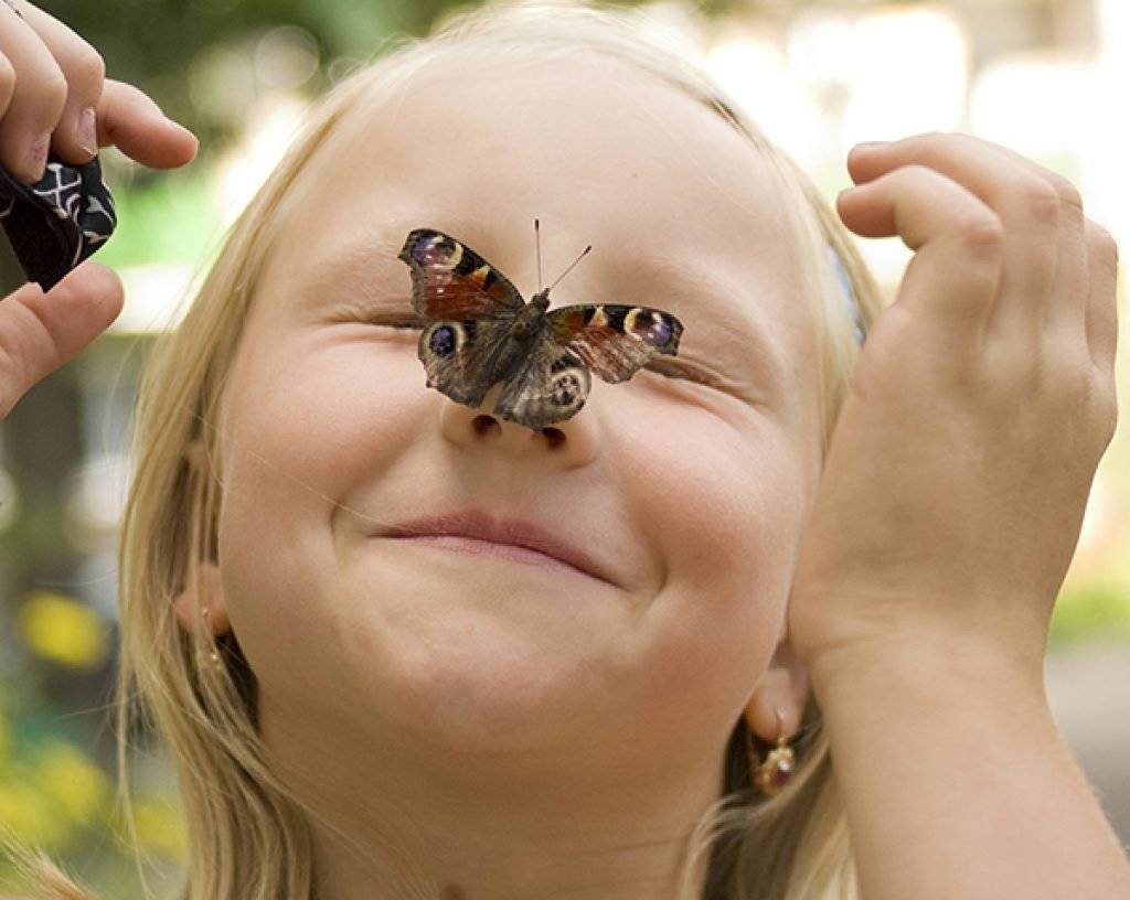 Ребенок боится насекомых до истерики: в чем причина и что делать