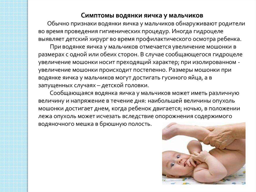 Водянка яичка * клиника диана в санкт-петербурге