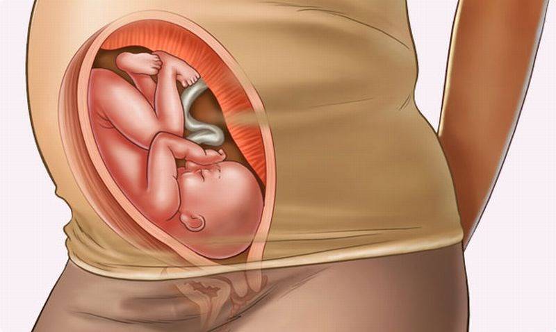 30 неделя беременности: это сколько месяцев, что происходит, как выглядит